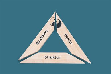 Kinesiologie Thun Holzdreieck mit Aufschrift Biochemie, Psyche, Struktur.