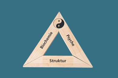 Kinesiologie Thun Holzdreieck mit Aufschrift Biochemie, Psyche, Struktur.